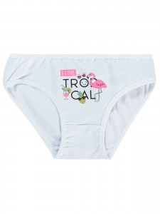 Wholesale - Civil Girls - Standard - Girl-Panties-8 Year (Of 4) 4