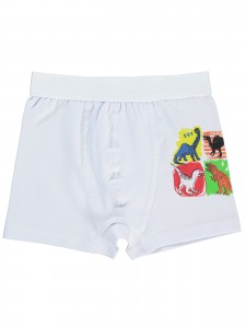 Wholesale - Civil Boys - Standard - Boy-Boxer-6 Year (Of 4) 4