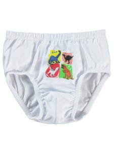 Wholesale - Civil Boys - Standard - Boy-Panties-8 Year (Of 4) 4