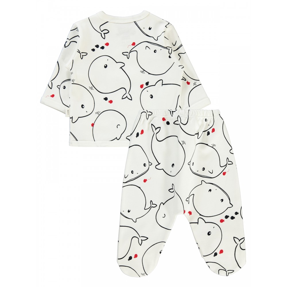 Wholesale - Civil Baby - Ecru - Baby-Pajamas Set-56-62-68 Month(1-1-1) 3