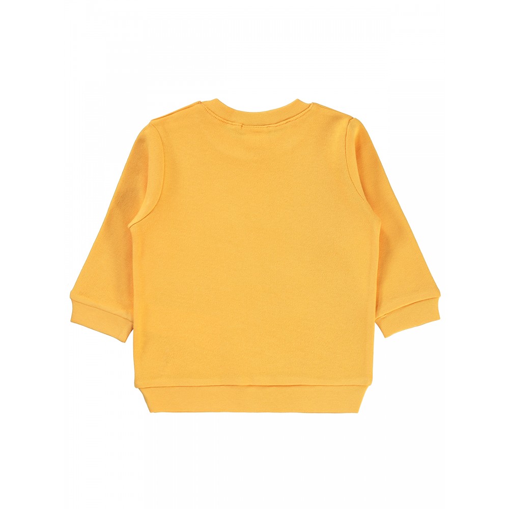 Wholesale - Civil Baby - Mustard - Baby-Sweatshirt-68-74-80-86 Month (1-1-1-1) 4