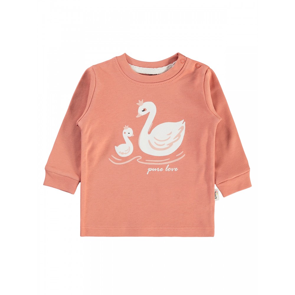 Wholesale - Civil Baby - Peachy - Baby-Sweatshirt-62-68-74-80 Month ( 1-1-1-1) 4