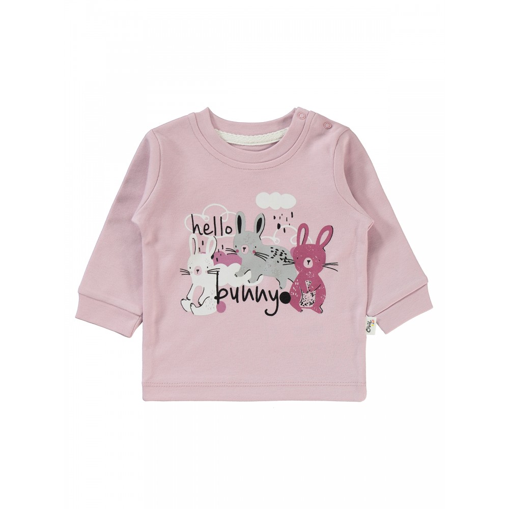 Wholesale - Civil Baby - Pink-Damson - Baby-Sweatshirt-62-68-74-80 Month ( 1-1-1-1) 4