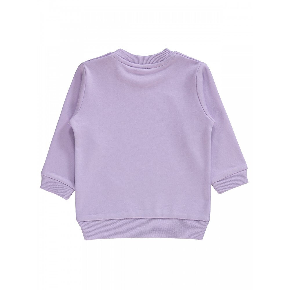 Wholesale - Civil Baby - Pink-Damson - Baby-Sweatshirt-68-74-80-86 Month (1-1-1-1) 4