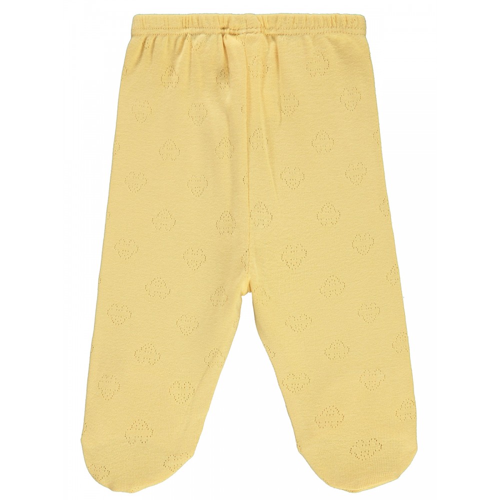 Wholesale - Civil Baby - Soft Yellow - Baby-Baby Bottoms-56-62-68 Month(1-1-1) 3 Pieces