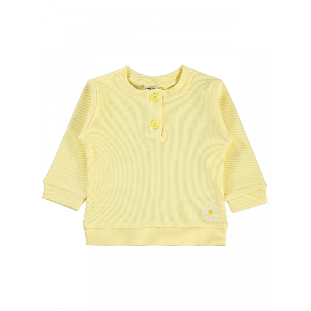 Wholesale - Civil Baby - Yellow - Baby-Sweatshirt-68-74-80-86 Month (1-1-1-1) 4