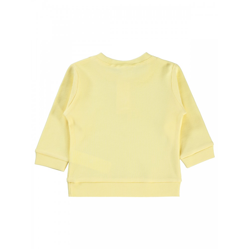 Wholesale - Civil Baby - Yellow - Baby-Sweatshirt-68-74-80-86 Month (1-1-1-1) 4