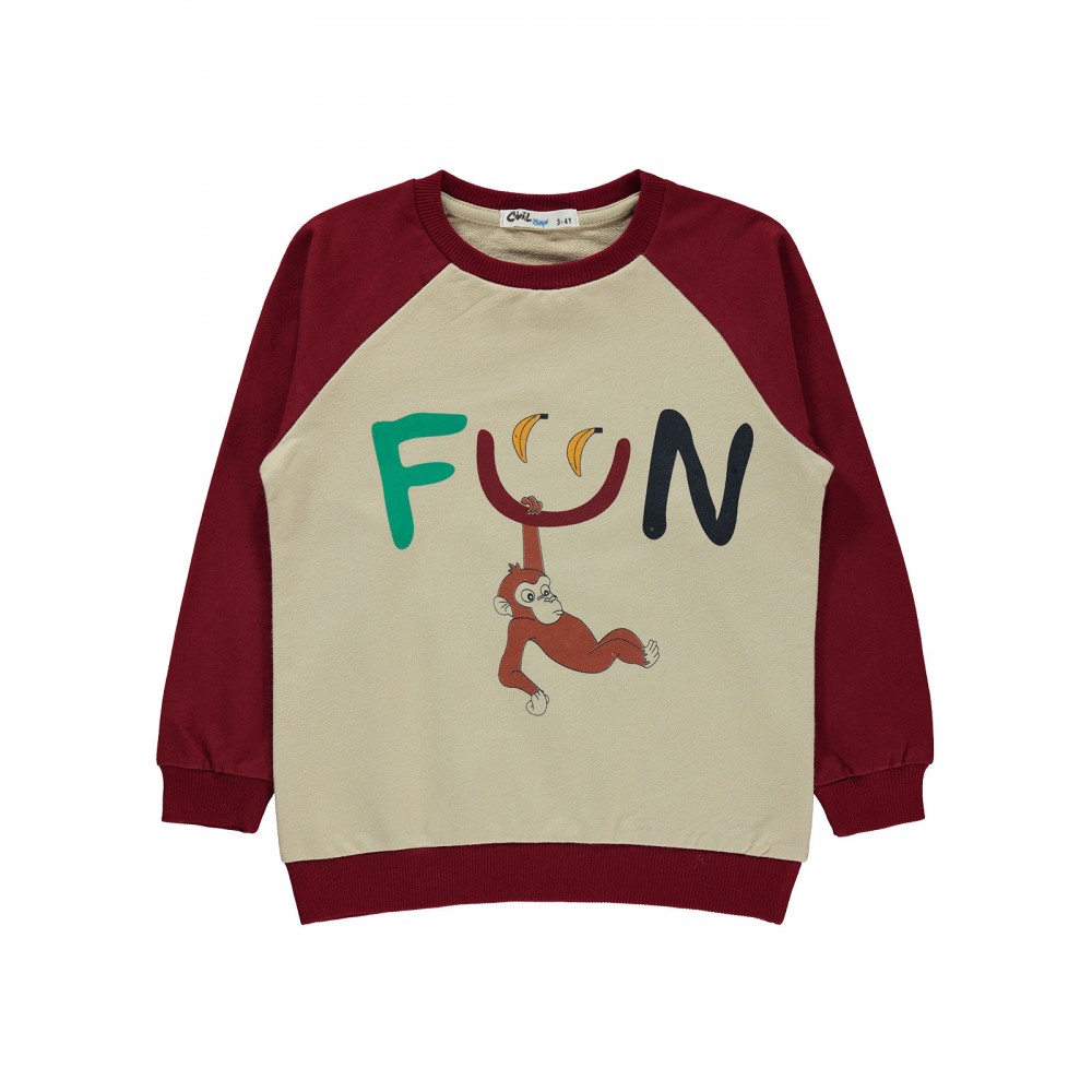 Wholesale - Civil Boys - Burgundy - Boy-Sweatshirt-2-3-4-5 Year (1-1-1-1) 4