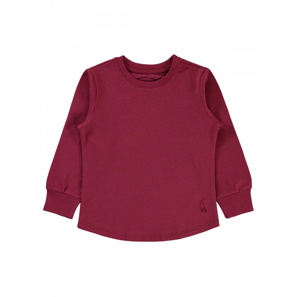 Wholesale - Civil Boys - Burgundy - Boy-Sweatshirt-2-3-4-5 Year (1-1-1-1) 4