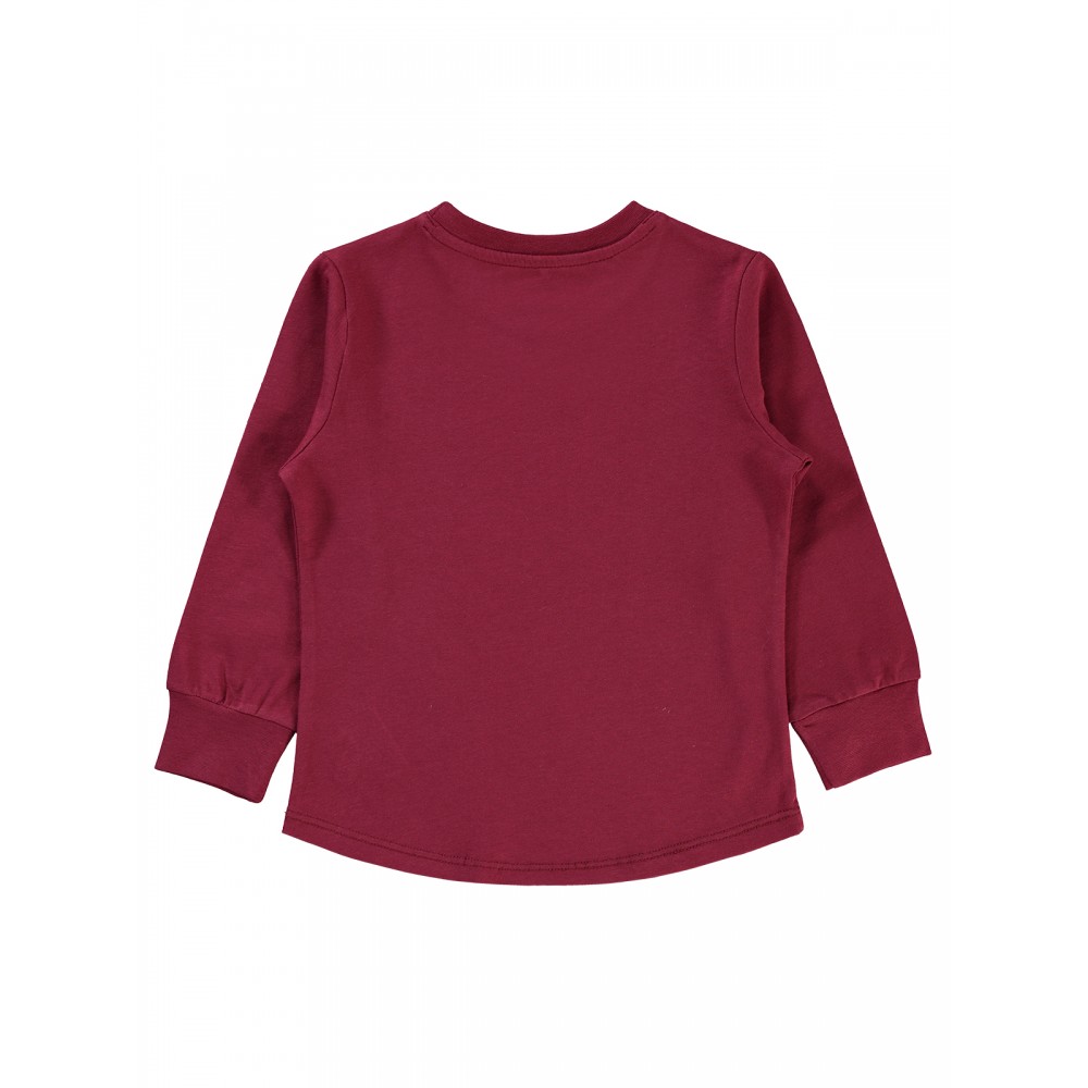 Wholesale - Civil Boys - Burgundy - Boy-Sweatshirt-2-3-4-5 Year (1-1-1-1) 4