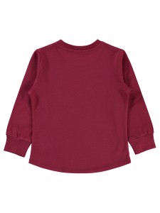 Wholesale - Civil Boys - Burgundy - Boy-Sweatshirt-2-3-4-5 Year (1-1-1-1) 4