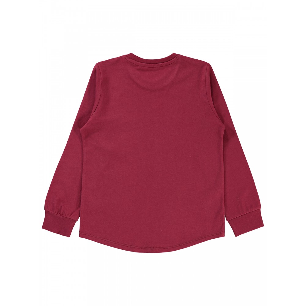 Wholesale - Civil Boys - Burgundy - Boy-Sweatshirt-6-7-8-9 Year (1-1-1-1) 4