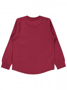 Wholesale - Civil Boys - Burgundy - Boy-Sweatshirt-6-7-8-9 Year (1-1-1-1) 4