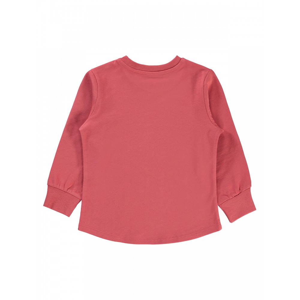 Wholesale - Civil Boys - Coral - Boy-Sweatshirt-2-3-4-5 Year (1-1-1-1) 4