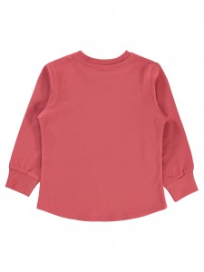 Wholesale - Civil Boys - Coral - Boy-Sweatshirt-2-3-4-5 Year (1-1-1-1) 4