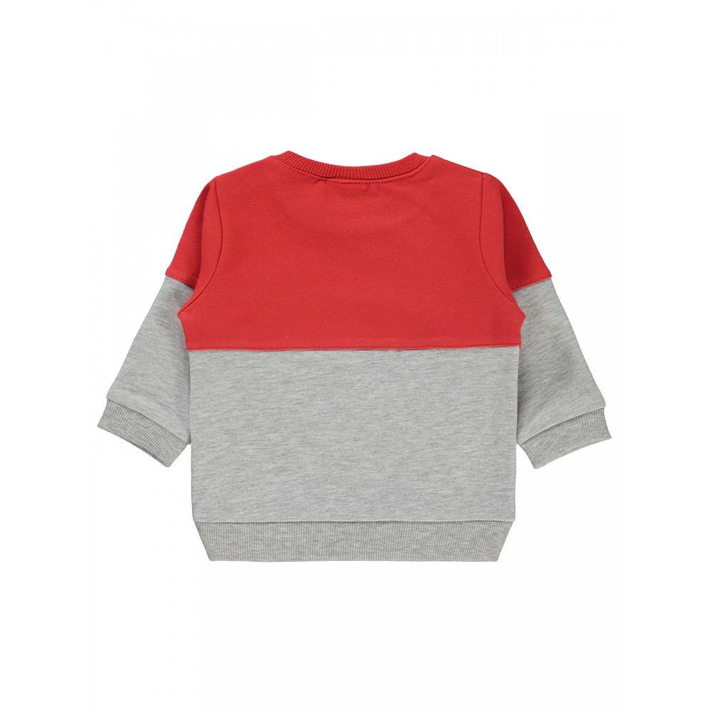 Wholesale - Civil Baby - Greymarl - Baby-Sweatshirt-68-74-80-86 Month (1-1-1-1) 4