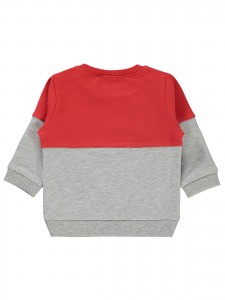 Wholesale - Civil Baby - Greymarl - Baby-Sweatshirt-68-74-80-86 Month (1-1-1-1) 4