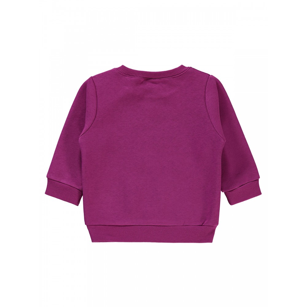 Wholesale - Civil Baby - Eggplant Purple - Baby-Sweatshirt-68-74-80-86 Month (1-1-1-1) 4