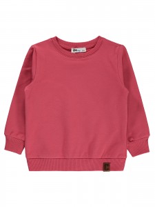 Wholesale - Civil Boys - Coral - Boy-Sweatshirt-2-3-4-5 Year (1-1-1-1) 4