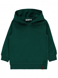 Wholesale - Civil Boys - Pine Green - Boy-Sweatshirt-2-3-4-5 Year (1-1-1-1) 4 Pieces