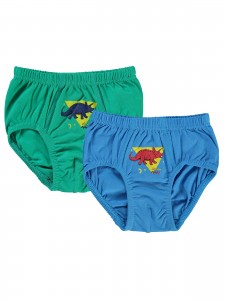 Wholesale - Civil Boys - Standard - Boy-Panties-2 Year (Of 4) 4