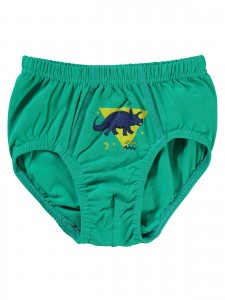 Wholesale - Civil Boys - Standard - Boy-Panties-2 Year (Of 4) 4