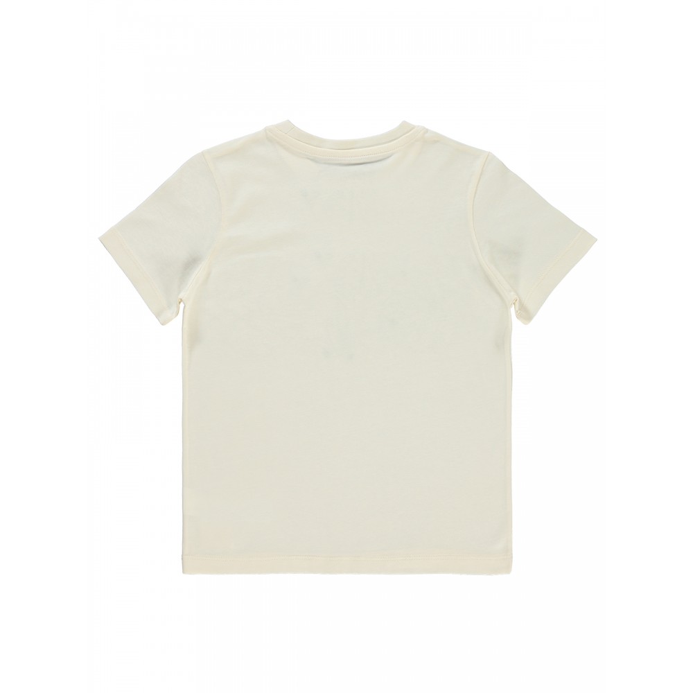 Wholesale - Civil Boys - Ivory - Boy-T-Shirt-10-11-12-13 Year  (1-1-1-1) 4