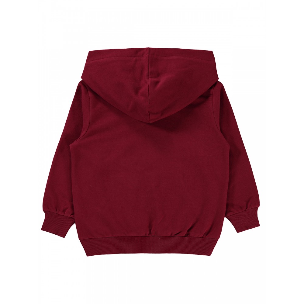 Civil Boys - Burgundy - Boy-Sweatshirt-2-3-4-5 Year (1-1-1-1) 4