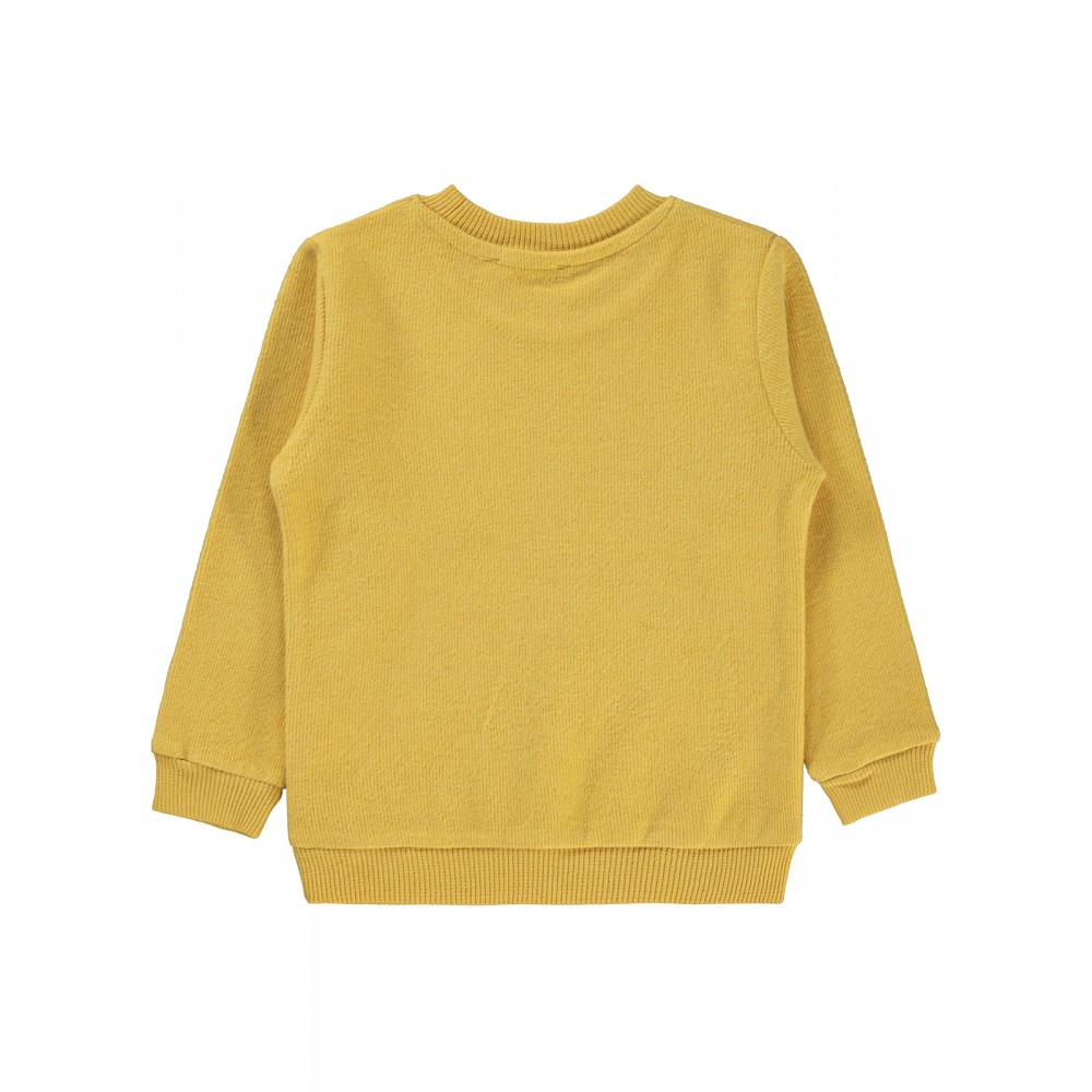 Civil Boys - Mustard - Boys-Sweatshirt-2-3-4-5 Year (1-1-1-1) 4