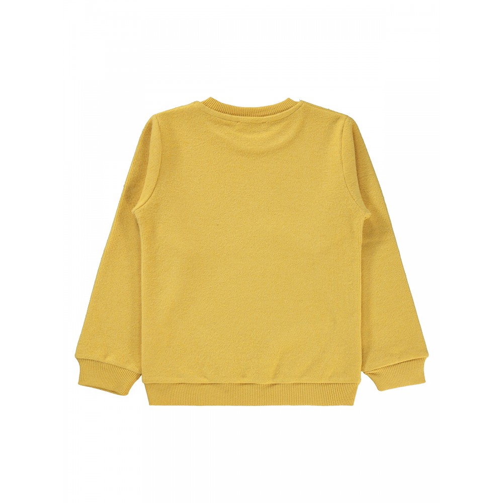 Civil Boys - Mustard - Boys-Sweatshirt-6-7-8-9 Year (1-1-1-1) 4