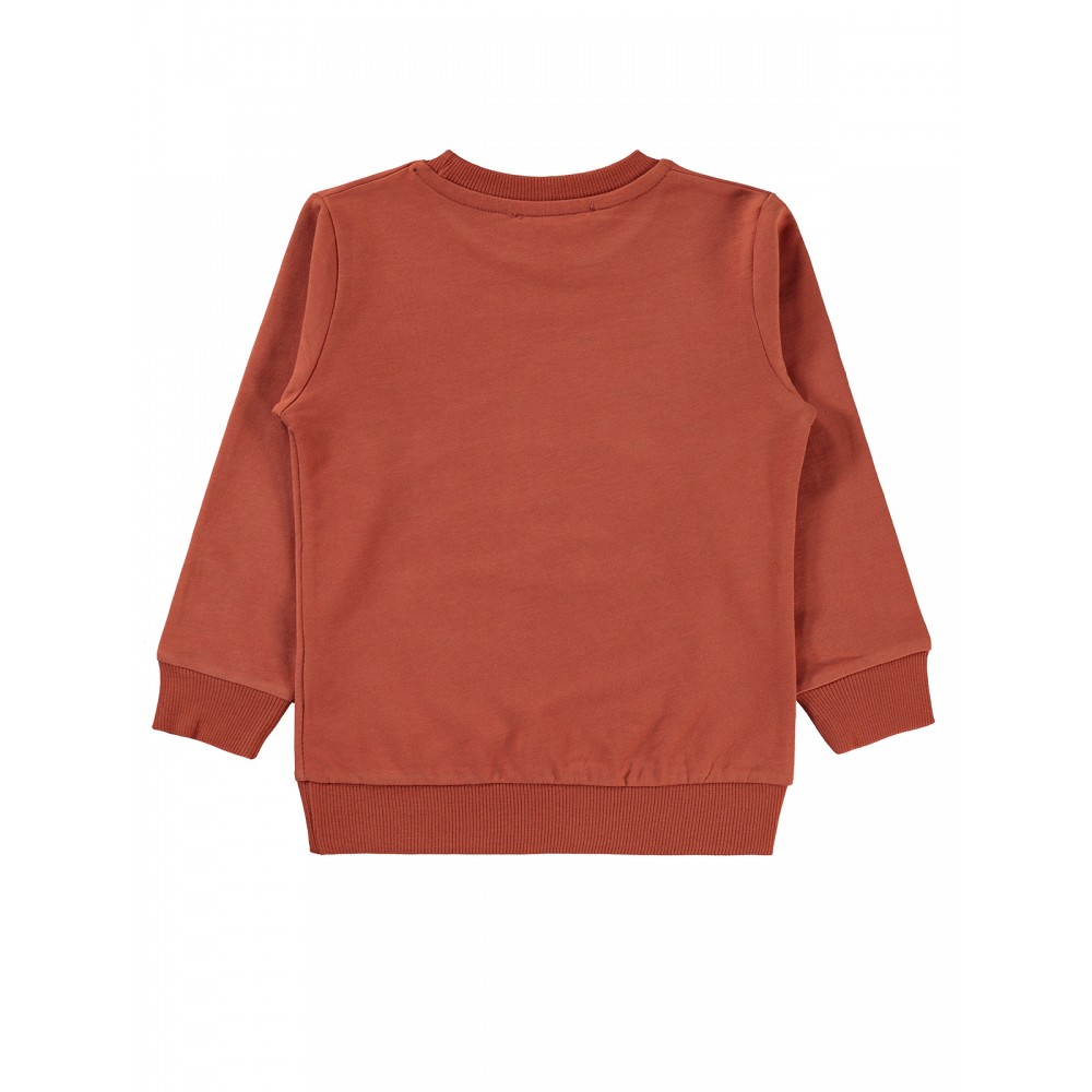 Civil Boys - Dark Copper - Boys-Sweatshirt-2-3-4-5 Year (1-1-1-1) 4