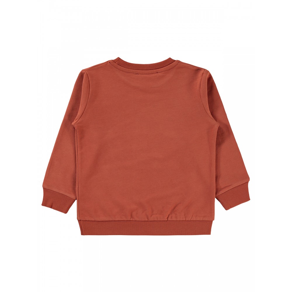 Civil Boys - Dark Copper - Boys-Sweatshirt-2-3-4-5 Year (1-1-1-1) 4