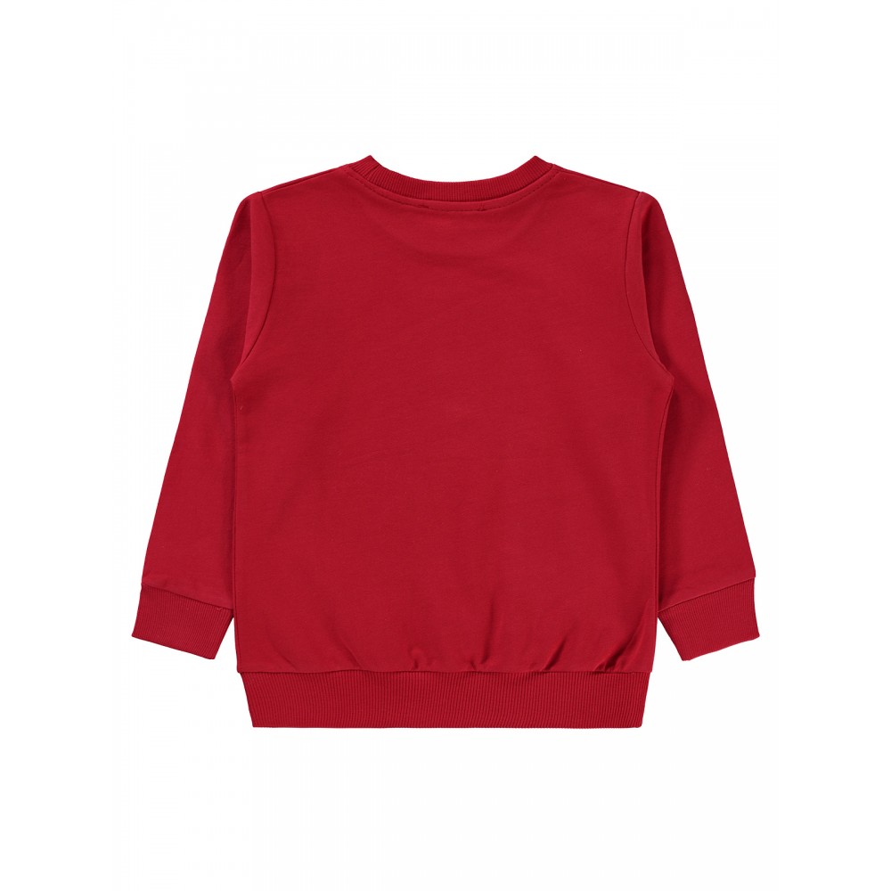 Civil Boys - Red - Boys-Sweatshirt-2-3-4-5 Year (1-1-1-1) 4