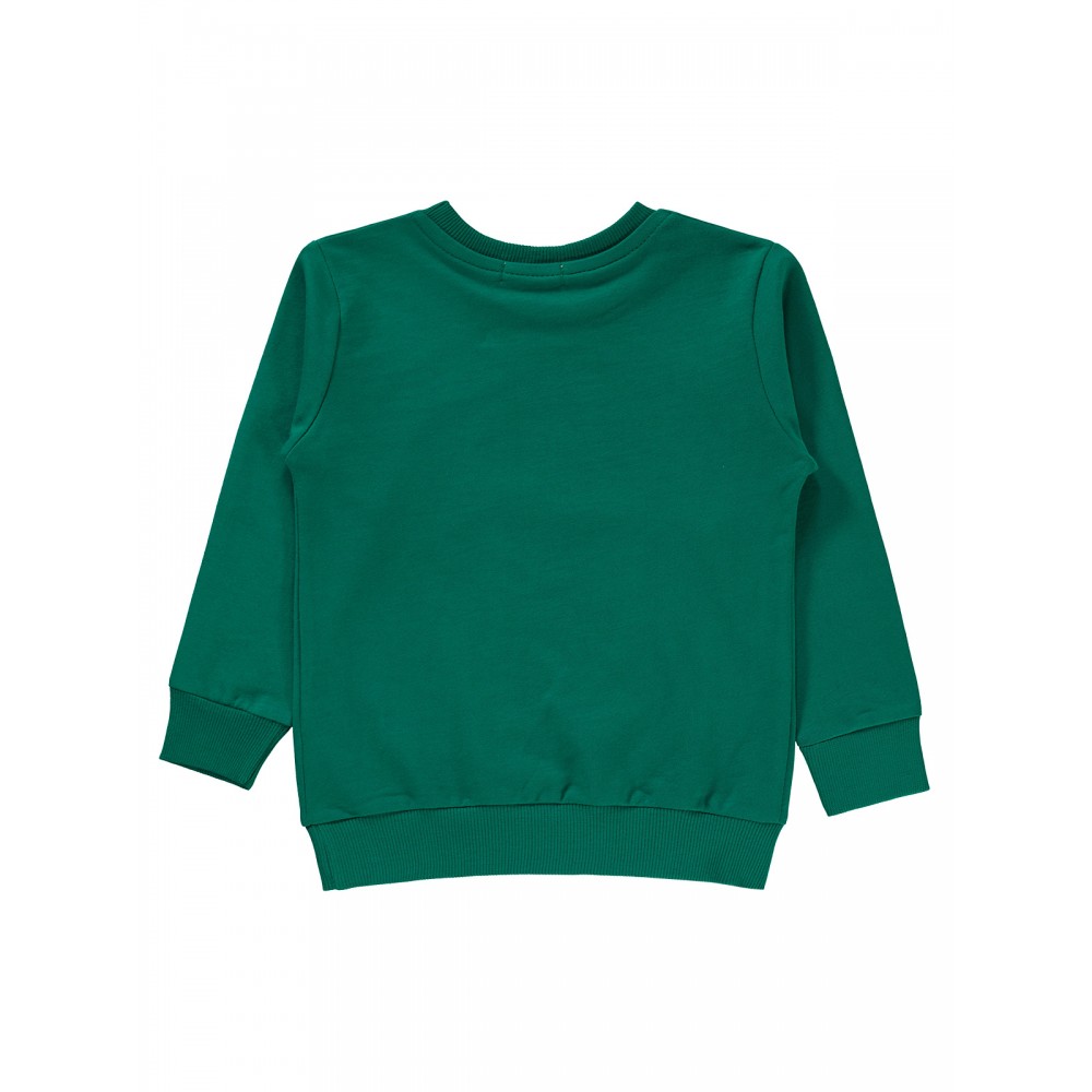 Civil Boys - Pine Green - Boys-Sweatshirt-2-3-4-5 Year (1-1-1-1) 4