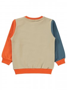 Civil Boys - Orange - Boys-Sweatshirt-2-3-4-5 Year (1-1-1-1) 4