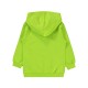 Civil Boys - Lemon Green - Boys-Sweatshirt-2-3-4-5 Year (1-1-1-1) 4