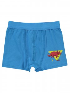 Standard Boys-Boxer Shorts