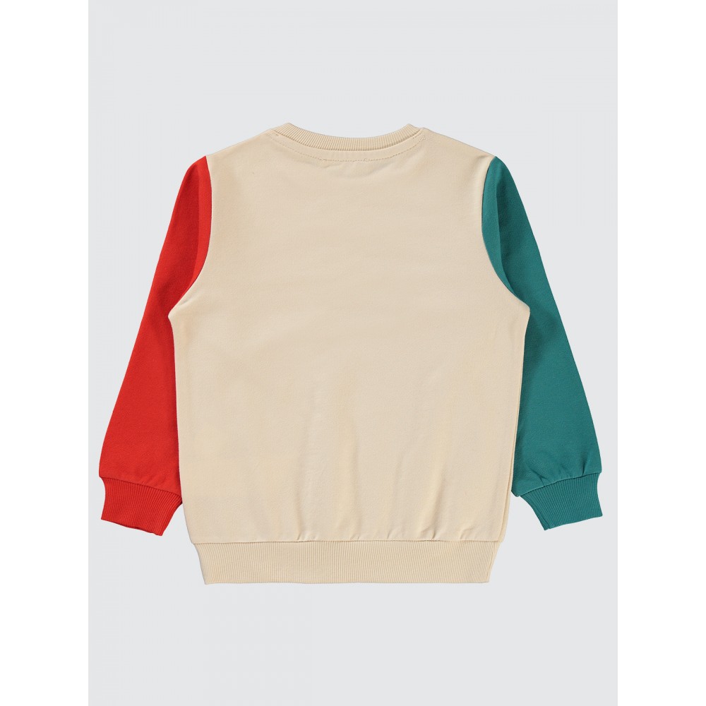 Stone Color Boys-Sweatshirt Stone Color Boys-Sweatshirt
