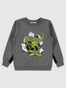 Anthracite Boys-Sweatshirt