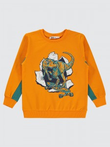 Light Orange Boys-Sweatshirt