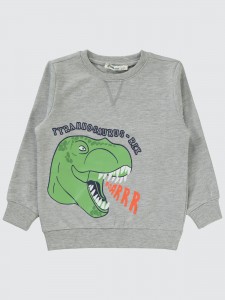 Gray Melange Boys-Sweatshirt