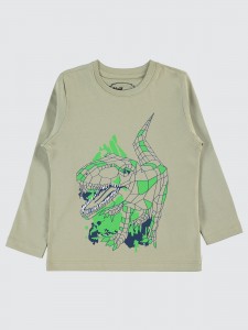 Lemon Green Boys-Sweatshirt