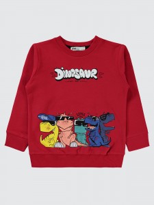 Red Boys-Sweatshirt