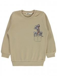 Beige Boys-Sweatshirt