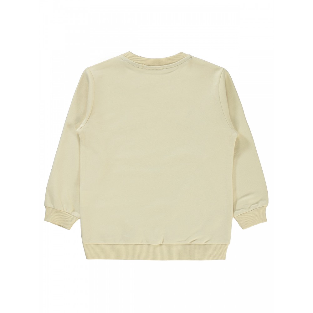 Stone Color Boys-Sweatshirt Stone Color Boys-Sweatshirt