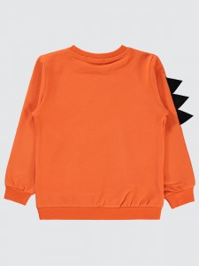 Orange Boys-Sweatshirt