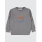 Gray Boys-Sweatshirt