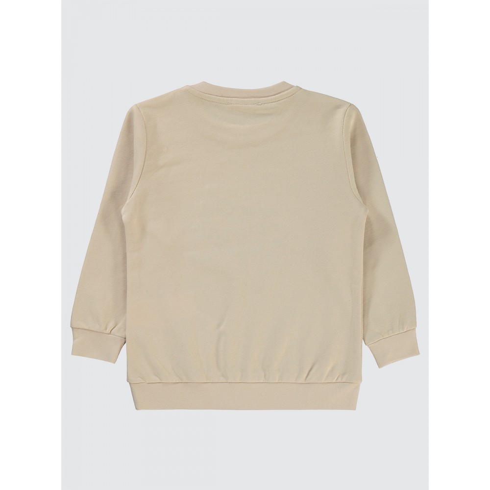 Stone Color Boys-Sweatshirt Stone Color Boys-Sweatshirt