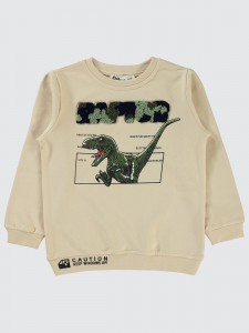 Stone Color Boys-Sweatshirt