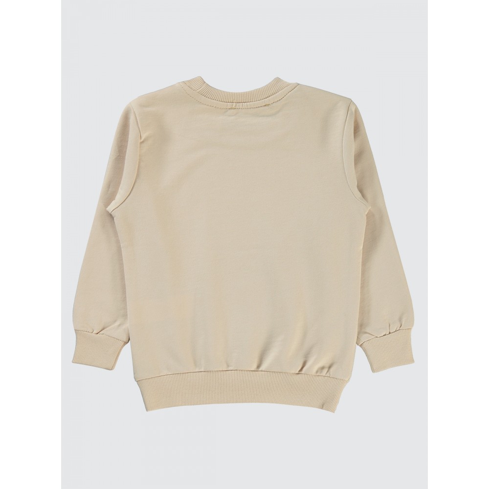 Stone Color Boys-Sweatshirt Stone Color Boys-Sweatshirt